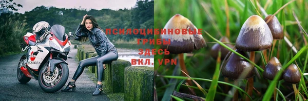 спиды Володарск
