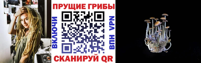 Псилоцибиновые грибы Psilocybe  МЕГА ТОР  Норильск  купить наркотики сайты 